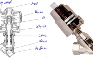 معروف ترین انگل ولوها